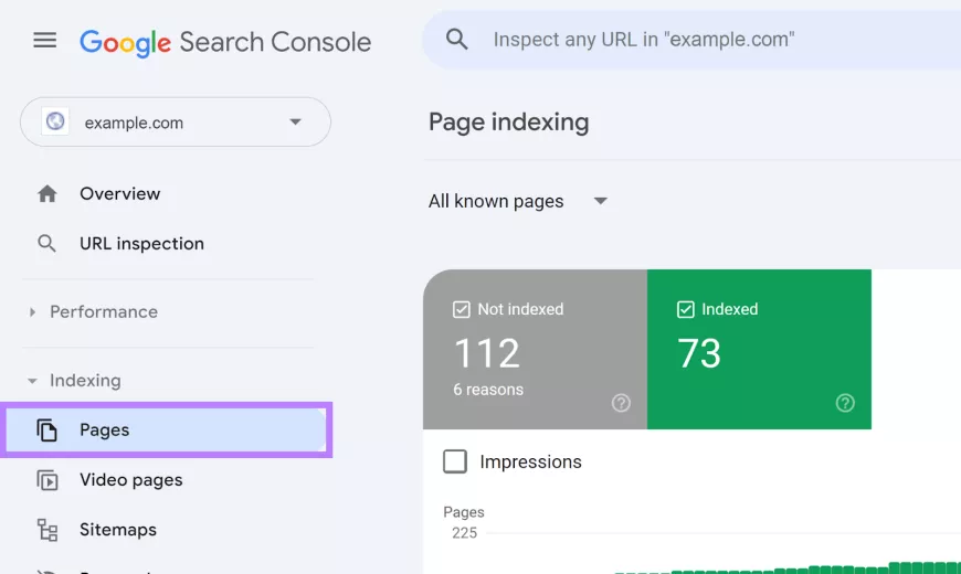 Google Search Console dashboard with Pages option selected and highlighted.